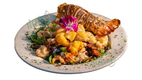 Mamajuana Cafe offers you good paella, stuffed crab and pork roast. . Mofongo steakhouse tampa